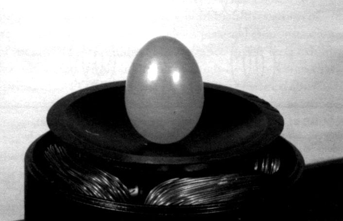 Plastic egg in use with rotating magnetic field project.